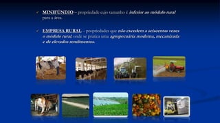  MINIFÚNDIO – propriedade cujo tamanho é inferior ao módulo rural
para a área.
 EMPRESA RURAL – propriedades que não excedem a seiscentas vezes
o módulo rural, onde se pratica uma agropecuária moderna, mecanizada
e de elevados rendimentos.
 