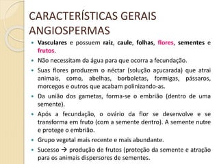 CARACTERÍSTICAS GERAIS
ANGIOSPERMAS
 Vasculares e possuem raiz, caule, folhas, flores, sementes e
frutos.
 Não necessitam da água para que ocorra a fecundação.
 Suas flores produzem o néctar (solução açucarada) que atrai
animais, como, abelhas, borboletas, formigas, pássaros,
morcegos e outros que acabam polinizando-as.
 Da união dos gametas, forma-se o embrião (dentro de uma
semente).
 Após a fecundação, o ovário da flor se desenvolve e se
transforma em fruto (com a semente dentro). A semente nutre
e protege o embrião.
 Grupo vegetal mais recente e mais abundante.
 Sucesso  produção de frutos (proteção da semente e atração
para os animais dispersores de sementes.
 