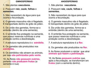 GIMNOSPERMAS
1. São plantas vasculares.
2. Possuem raiz, caule, folhas e
sementes.
3. Não necessitam da água para que
ocorra a fecundação.
4. O gameta masculino não é flagelado.
É transportado dentro do grão de pólen.
5. Da união dos gametas, forma-se o
embrião (dentro de uma semente).
6. O embrião fica protegido na semente,
que possui reservas nutritivas e uma
proteção contra a desidratação.
7. A estrutura reprodutora é o estróbilo.
8. Os gametas são produzidos nos
estróbilos.
9. Os estróbilos não atraem os animais,
por isso são polinizadas pelo vento.
10. As flores não possuem ovários,
portanto não produzem frutos (a
semente é nua)
ANGIOSPERMAS
1. São plantas vasculares.
2. Possuem raiz, caule, folhas e
sementes.
3. Não necessitam da água para que
ocorra a fecundação.
4. O gameta masculino não é flagelado.
É transportado dentro do grão de pólen.
5. Da união dos gametas, forma-se o
embrião (dentro de uma semente).
6. O embrião fica protegido na semente,
que possui reservas nutritivas e uma
proteção contra a desidratação.
7. A estrutura reprodutora é a flor.
8. Os gametas são produzidos na flor.
9. As flores produzem o néctar que atrai
animais que fazem a polinização.
10. As flores possuem ovários que,
após a fecundação, se transformam em
frutos (com a semente dentro).
 