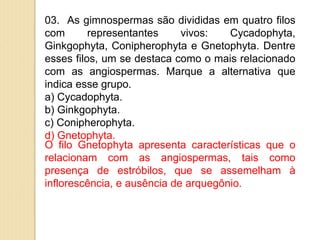 03. As gimnospermas são divididas em quatro filos
com representantes vivos: Cycadophyta,
Ginkgophyta, Conipherophyta e Gnetophyta. Dentre
esses filos, um se destaca como o mais relacionado
com as angiospermas. Marque a alternativa que
indica esse grupo.
a) Cycadophyta.
b) Ginkgophyta.
c) Conipherophyta.
d) Gnetophyta.
O filo Gnetophyta apresenta características que o
relacionam com as angiospermas, tais como
presença de estróbilos, que se assemelham à
inflorescência, e ausência de arquegônio.
 