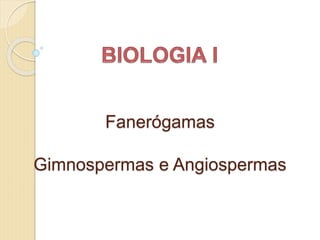 Fanerógamas
Gimnospermas e Angiospermas
 