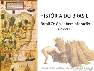 HISTÓRIA DO BRASIL
Brasil Colônia: Administração
           Colonial.
 
