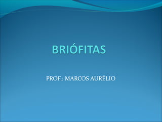 PROF.: MARCOS AURÉLIO

 