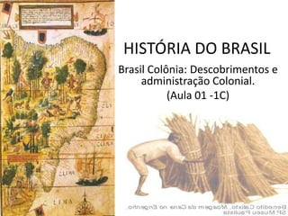 HISTÓRIA DO BRASIL
Brasil Colônia: Descobrimentos e
     administração Colonial.
           (Aula 01 -1C)
 