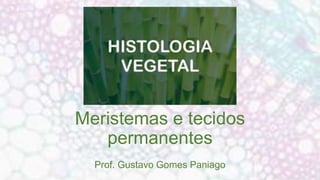 Meristemas e tecidos
permanentes
Prof. Gustavo Gomes Paniago
 