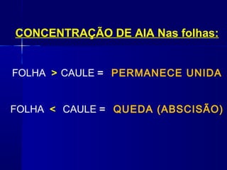 CONCENTRAÇÃO DE AIA Nas folhas:
FOLHA > CAULE = PERMANECE UNIDA
FOLHA <  CAULE = QUEDA (ABSCISÃO)

 