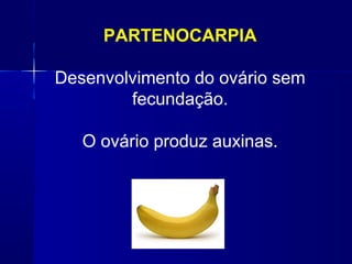 PARTENOCARPIA
Desenvolvimento do ovário sem
fecundação.
O ovário produz auxinas.

 