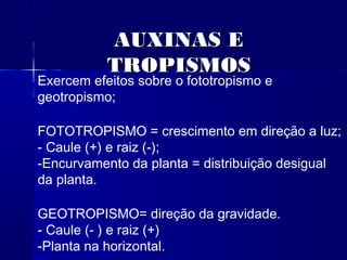 AUXINAS E
TROPISMOS

Exercem efeitos sobre o fototropismo e
geotropismo;
FOTOTROPISMO = crescimento em direção a luz;
- Caule (+) e raiz (-);
-Encurvamento da planta = distribuição desigual
da planta.
GEOTROPISMO= direção da gravidade.
- Caule (- ) e raiz (+)
-Planta na horizontal.

 