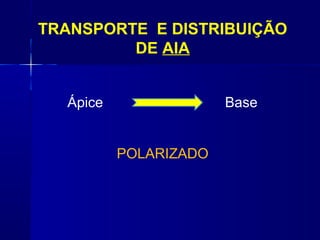 TRANSPORTE E DISTRIBUIÇÃO
DE AIA
Ápice

Base
POLARIZADO

 