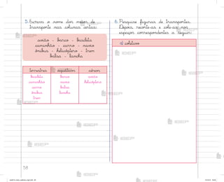58
6. Pesquise figuras de transpo’tes.
®epo‰s, reco’te-as e coŒe-as no“
espaço“ co’respo½dentes a seguir:
5. Escreva o no¼e do“ meio“ de
transpo’te nas coŒunas certas:
av‰ão - b˜rco - b‰cicleta
caminhão - carro - nav‰o
ô½ib§s - helicó¿tero - trem
b˜lsa - lancha
terrestres aquático“ aéreo“
b‰cicleta
caminhão
carro
ô½ib§s
trem
b˜rco
nav‰o
b˜lsa
lancha
av‰ão
helicó¿tero
a) coŒetiv¾
me2013_miolo_cadfuturo_hg2.indb 58 14/12/12 18:38
 