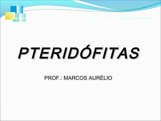 PTERIDÓFITAS
PROF.: MARCOS AURÉLIO

 