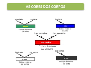 AS CORES DOS CORPOS
 