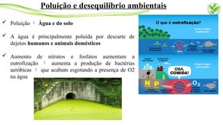  Poluição  Água e do solo
 A água é principalmente poluída por descarte de
dejetos humanos e animais domésticos
 Aumento de nitratos e fosfatos aumentam a
eutrofização  aumenta a produção de bactérias
aeróbicas  que acabam esgotando a presença de O2
na água
Poluição e desequilíbrio ambientais
 
