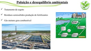  Tratamento de esgoto
 Resíduos semissólidos produção de fertilizantes
 Gás metano gera combustível
Poluição e desequilíbrio ambientais
 