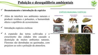  Desmatamento e introdução de espécies
 Além de interferir nos ambientes naturais e
produzir resíduos e poluentes, a humanidade
altera o equilíbrio de ecossistemas
 Introdução espécies exóticas
 A expansão das terras cultivadas e o
crescimento das cidades têm causado a
destruição de muitos ambientes naturais.
Florestas são derrubadas ou queimadas, com
prejuízos ao solo e poluição da atmosfera.
Poluição e desequilíbrio ambientais
 