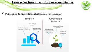  Princípios da sustentabilidade: Explorar e mitigar
Interações humanas sobre os ecossistemas
 