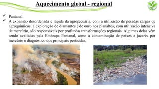  Pantanal
 A expansão desordenada e rápida da agropecuária, com a utilização de pesadas cargas de
agroquímicos, a exploração de diamantes e de ouro nos planaltos, com utilização intensiva
de mercúrio, são responsáveis por profundas transformações regionais. Algumas delas vêm
sendo avaliadas pela Embrapa Pantanal, como a contaminação de peixes e jacarés por
mercúrio e diagnóstico dos principais pesticidas.
Aquecimento global - regional
 