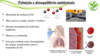  Monóxido de carbono (CO)
 Mais nocivo a saúde, incolor e inodoro
 Queima incompleta de moléculas
orgânicas
 Motores a combustão
 Esse gás combina com a hemoglobina
do sangue, inutilizando a para o
transporte de O2
Poluição e desequilíbrio ambientais
 