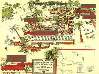 Fazenda de AçúcarFazenda de Açúcar
Lavoura
Senzala
Casa Grande
Capela
Engenho de
Açúcar
39
 