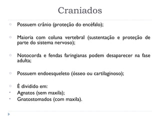 Craniados
o Possuem crânio (proteção do encéfalo);
o Maioria com coluna vertebral (sustentação e proteção de
parte do sistema nervoso);
o Notocorda e fendas faringianas podem desaparecer na fase
adulta;
o Possuem endoesqueleto (ósseo ou cartilaginoso);
o É dividido em:
• Agnatos (sem maxila);
• Gnatostomados (com maxila).
 