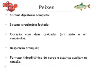 Peixes
o Sistema digestório completo;
o Sistema circulatório fechado;
o Coração com duas cavidades (um átrio e um
ventrículo);
o Respiração branquial;
o Formato hidrodinâmico do corpo e escamas auxiliam na
natação;
 