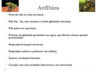 Anfíbios
o Parte da vida no meio terrestre;
o Pele fina, lisa, sem escamas e úmida (glândulas mucosas);
o Pele pobre em queratina;
o Presença de glândulas paratoides nos sapos, que liberam veneno quando
pressionadas;
o Respiração branquial nas larvas;
o Respiração cutânea e pulmonar nos adultos;
o Sistema circulatório fechado;
o Coração com três cavidades (dois átrios e um ventrículo);
 