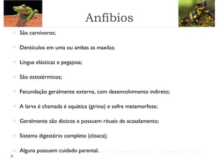 o São carnívoros;
o Dentículos em uma ou ambas as maxilas;
o Língua elásticas e pegajosa;
o São ectotérmicos;
o Fecundação geralmente externa, com desenvolvimento indireto;
o A larva é chamada é aquática (girino) e sofre metamorfose;
o Geralmente são dioicos e possuem rituais de acasalamento;
o Sistema digestório completo (cloaca);
o Alguns possuem cuidado parental.
Anfíbios
 