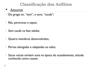 Classificação dos Anfíbios
o Do grego an, “sem”, e oura, “cauda”;
o Rãs, pererecas e sapos;
o Sem cauda na fase adulta;
o Quatro membros desenvolvidos;
o Pernas alongadas e adaptadas ao salto;
o Sacos vocais emitem sons na época do acasalamento, atitude
conhecida como coaxar.
 Anuros
 