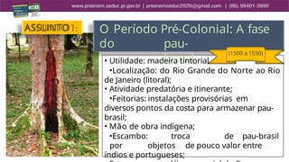 O Período Pré-Colonial: A fase
do pau-
brasil
(1500 a 1530)
• Utilidade: madeira tintorial
•Localização: do Rio Grande do Norte ao Rio
de Janeiro (litoral);
• Atividade predatória e itinerante;
•Feitorias: instalações provisórias em
diversos pontos da costa para armazenar pau-
brasil;
• Mão de obra indígena;
•Escambo: troca de pau-brasil
por objetos de pouco valor entre
índios e portugueses;
ASSUNTO
1:
 