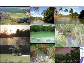 Possui uma área de 1,1 milhão de km², abrangendo não
apenas os estados do Mato Grosso e do Mato Grosso do
Sul como também outros países vizinhos do Brasil, como a
Argentina, o Paraguai e a Bolívia. O principal rio da
bacia é o Paraguai, que nasce em território brasileiro na
Chapada dos Parecis no estado do Mato Grosso. A vazão
média conjunta da bacia é de 363.445 m³/s.
A bacia do Paraguai pode ser dividida em duas regiões
distintas: o Planalto, com terras acima de 200 m de
altitude, e o Pantanal, de terras com menos de 200 m de
altitude e sujeitas a inundações periódicas, que mantém o
ciclo de vida deste bioma complexo.
O Rio Paraguai apresenta duas margens brasileiras,
fazendo fronteira apenas entre o Brasil e a Bolívia em
um trecho ao sul d deste último país.
Em seu percurso inicial tem o nome de rio Paraguaisinho,
mas logo passa a ser conhecido como rio Paraguai,
percorrendo um trajeto de cerca de 2.621 Km até sua foz,
no rio Paraná. Dentro do território brasileiro, o rio
Paraguai percorre cerca de 1693 Km.
A navegabilidade do rio em terras do Brasil dá-se com
satisfatoriedade a partir de Cáceres (passando por
Corumbá) até a foz do rio Apa. Seu trajeto tem extensão
total de cerca de 1.323 Km.
Seu trajeto em meio ao Pantanal é tão sinuoso e,
Possui uma área de 385.000 km², dos quais 174.612 km²
situam-se dentro do Brasil, abrangendo 384 municípios
dos estados do Rio Grande do Sul e de Santa Catarina. As
principais cidades brasileiras localizadas na bacia são
Lages e Chapecó (SC), Uruguaiana, São Borja, Bagé e
Santana do Livramento(RS).
A região hidrográfica do Uruguai apresenta um grande
potencial hidrelétrico, com uma capacidade total de
produção de 40,5 KW/km², considerando os lados
brasileiro e argentino, uma das maiores relações de
energia/km² do mundo.
A bacia é formada pelo rio Uruguai e por seus afluentes
(Apuaê-Inhandava, Passo Fundo-Várzea, Turvo-Santa Rosa-Santo Cristo, Butuí-
Usina Hidrelétrica de Itá
Nascente do Tocantins (GO)
Nascente
do
Araguaia (GO-MT)
 