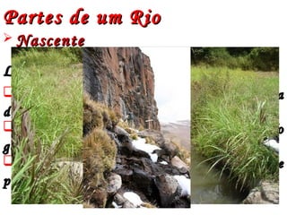  NascenteNascente
Local onde nasce o rio. Pode ser:Local onde nasce o rio. Pode ser:
PluvialPluvial - Formada pelo acúmulo de água- Formada pelo acúmulo de água
da chuva.da chuva.
NivalNival - Formada pelo derretimento do- Formada pelo derretimento do
gelo ou da neve.gelo ou da neve.
MistaMista -- Formada pela água da chuva eFormada pela água da chuva e
pelo derretimento da neve e do gelo.pelo derretimento da neve e do gelo.
Partes de um RioPartes de um Rio
 