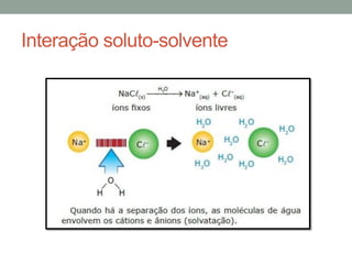Interação soluto-solvente
 