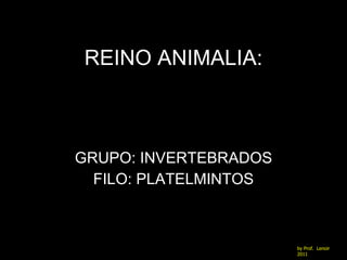 REINO ANIMALIA: GRUPO: INVERTEBRADOS FILO: PLATELMINTOS by Prof.  Lenoir  2011 