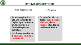 • As vias respiratórias
são um conjunto de
órgãos que captam o
ar do exterior e o
fazem chegar aos
pulmões.
• Nas fossas nasais o ar
é aquecido, filtrado e
humedecido
• Os pulmões são os
órgãos esponjosos e
elásticos, de cor
rosado, situados na
cavidade torácica.
• Vias Respiratórias • Pulmões
 