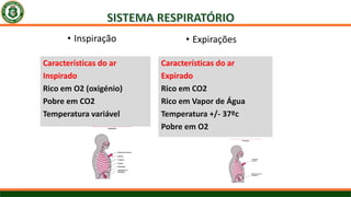 • Inspiração • Expirações
Características do ar
Inspirado
Rico em O2 (oxigénio)
Pobre em CO2
Temperatura variável
Características do ar
Expirado
Rico em CO2
Rico em Vapor de Água
Temperatura +/- 37ºc
Pobre em O2
 