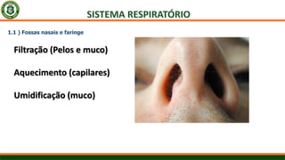 1.1 ) Fossas nasais e faringe
Filtração (Pelos e muco)
Aquecimento (capilares)
Umidificação (muco)
 