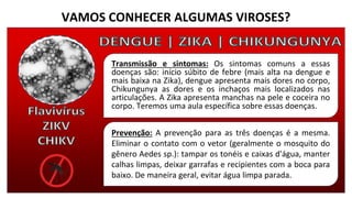 VAMOS CONHECER ALGUMAS VIROSES?
Transmissão e sintomas: Os sintomas comuns a essas
doenças são: início súbito de febre (mais alta na dengue e
mais baixa na Zika), dengue apresenta mais dores no corpo,
Chikungunya as dores e os inchaços mais localizados nas
articulações. A Zika apresenta manchas na pele e coceira no
corpo. Teremos uma aula específica sobre essas doenças.
Prevenção: A prevenção para as três doenças é a mesma.
Eliminar o contato com o vetor (geralmente o mosquito do
gênero Aedes sp.): tampar os tonéis e caixas d'água, manter
calhas limpas, deixar garrafas e recipientes com a boca para
baixo. De maneira geral, evitar água limpa parada.
 