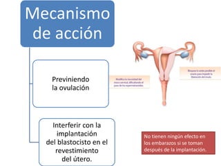 Mecanismo
de acción
Previniendo
la ovulación
Interferir con la
implantación
del blastocisto en el
revestimiento
del útero.
No tienen ningún efecto en
los embarazos si se toman
después de la implantación.
 