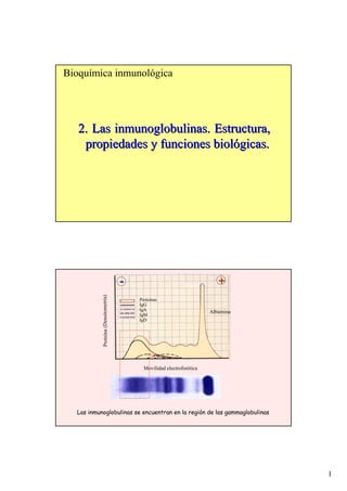 1
Bioquímica inmunológica
2. Las inmunoglobulinas. Estructura,2. Las inmunoglobulinas. Estructura,
propiedades y funciones biolpropiedades y funciones biolóógicas.gicas.
Albúmina
Proteínas
IgG
IgA
IgM
IgD
-- ++
Movilidad electroforética
Proteína(Densitometría)
Las inmunoglobulinas se encuentran en la región de las gammaglobulinas
 