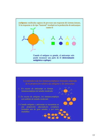 13
Ant
Antí
ígenos:
genos: mol
molé
éculas capaces de provocar una respuesta del sistema inmune,
culas capaces de provocar una respuesta del sistema inmune,
Si la respuesta es de tipo
Si la respuesta es de tipo “
“humoral
humoral”
” resultar
resultará
á en la producci
en la producció
ón de anticuerpos
n de anticuerpos
contra
contra é
él
l
Cuando el ant
Cuando el antí
ígeno es grande, el anticuerpo solo
geno es grande, el anticuerpo solo
puede reconocer una parte de
puede reconocer una parte de é
él (
l (determinante
determinante
antig
antigé
énico o
nico o epitopo
epitopo)
)
La naturaleza de los inmunocomplejos formados depende
La naturaleza de los inmunocomplejos formados depende
de la proporci
de la proporció
ón relativa de ant
n relativa de antí
ígeno y de anticuerpo
geno y de anticuerpo
1.
1. En exceso de anticuerpo se forman
En exceso de anticuerpo se forman
inmunocomplejos de tama
inmunocomplejos de tamañ
ño moderado
o moderado
2. En exceso de ant
2. En exceso de antí
ígeno, los inmunocomplejos
geno, los inmunocomplejos
son tambi
son tambié
én de tama
n de tamañ
ño moderado
o moderado
3. Cuando ant
3. Cuando antí
ígeno y anticuerpo se encuentran en
geno y anticuerpo se encuentran en
una proporci
una proporció
ón adecuada,los complejos
n adecuada,los complejos
formados son de gran tama
formados son de gran tamañ
ño, y por tanto
o, y por tanto
insolubles
insolubles
 