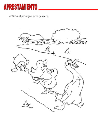 Pinta el pato que esta primero.
 