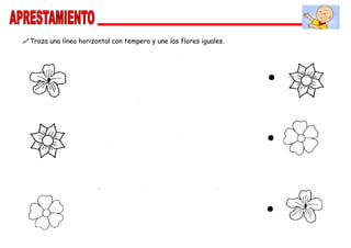 Traza una línea horizontal con tempera y une las flores iguales.
 