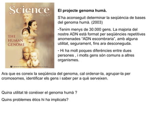 El projecte genoma humà. S’ha aconseguit determinar la seqüència de bases del genoma humà. (2003) Tenim menys de 30.000 gens. La majoria del nostre ADN està format per seqüències repetitives anomenades “ADN escombraria”, amb alguna utilitat, segurament, fins ara desconeguda. Hi ha molt poques diferències entre dues persones , i molts gens són comuns a altres organismes. Ara que es coneix la seqüència del genoma, cal ordenar-la, agrupar-la per cromosomes, identificar els gens i saber per a què serveixen. Quina utilitat té conèixer el genoma humà ?  Quins problemes ètics hi ha implicats? 