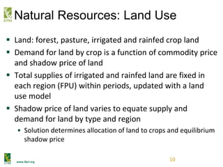 www.ifpri.org
Natural Resources: Land Use
 Land: forest, pasture, irrigated and rainfed crop land
 Demand for land by crop is a function of commodity price
and shadow price of land
 Total supplies of irrigated and rainfed land are fixed in
each region (FPU) within periods, updated with a land
use model
 Shadow price of land varies to equate supply and
demand for land by type and region
• Solution determines allocation of land to crops and equilibrium
shadow price
10
 