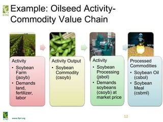 www.ifpri.org
Example: Oilseed Activity-
Commodity Value Chain
12
Activity
• Soybean
Farm
(jsoyb)
• Demands
land,
fertilizer,
labor
Activity Output
• Soybean
Commodity
(csoyb)
Activity
• Soybean
Processing
(jsbol)
• Demands
soybeans
(csoyb) at
market price
Processed
Commodities
• Soybean Oil
(csbol)
• Soybean
Meal
(csbml)
 