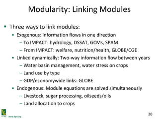 www.ifpri.org
20
Modularity: Linking Modules
 Three ways to link modules:
• Exogenous: Information flows in one direction
– To IMPACT: hydrology, DSSAT, GCMs, SPAM
– From IMPACT: welfare, nutrition/health, GLOBE/CGE
• Linked dynamically: Two-way information flow between years
– Water basin management, water stress on crops
– Land use by type
– GDP/economywide links: GLOBE
• Endogenous: Module equations are solved simultaneously
– Livestock, sugar processing, oilseeds/oils
– Land allocation to crops
 
