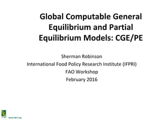www.ifpri.org
Global Computable General
Equilibrium and Partial
Equilibrium Models: CGE/PE
Sherman Robinson
International Food Policy Research Institute (IFPRI)
FAO Workshop
February 2016
 