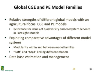 www.ifpri.org
35
 Relative strengths of different global models with an
agricultural focus: CGE and PE models
• Relevance for issues of biodiversity and ecosystem services
in Foresight Models
 Exploiting comparative advantages of different model
systems
• Modularity within and between model families
• “Soft” and “hard” linking different models
 Data base estimation and management
Global CGE and PE Model Families
35
 