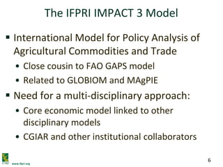 www.ifpri.org
6
The IFPRI IMPACT 3 Model
 International Model for Policy Analysis of
Agricultural Commodities and Trade
• Close cousin to FAO GAPS model
• Related to GLOBIOM and MAgPIE
 Need for a multi-disciplinary approach:
• Core economic model linked to other
disciplinary models
• CGIAR and other institutional collaborators
 