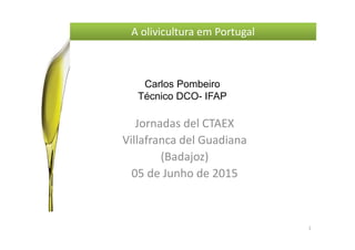 Carlos Pombeiro
Técnico DCO- IFAP
Jornadas del CTAEX
Villafranca del Guadiana
(Badajoz)
05 de Junho de 2015
1
A olivicultura em Portugal
 